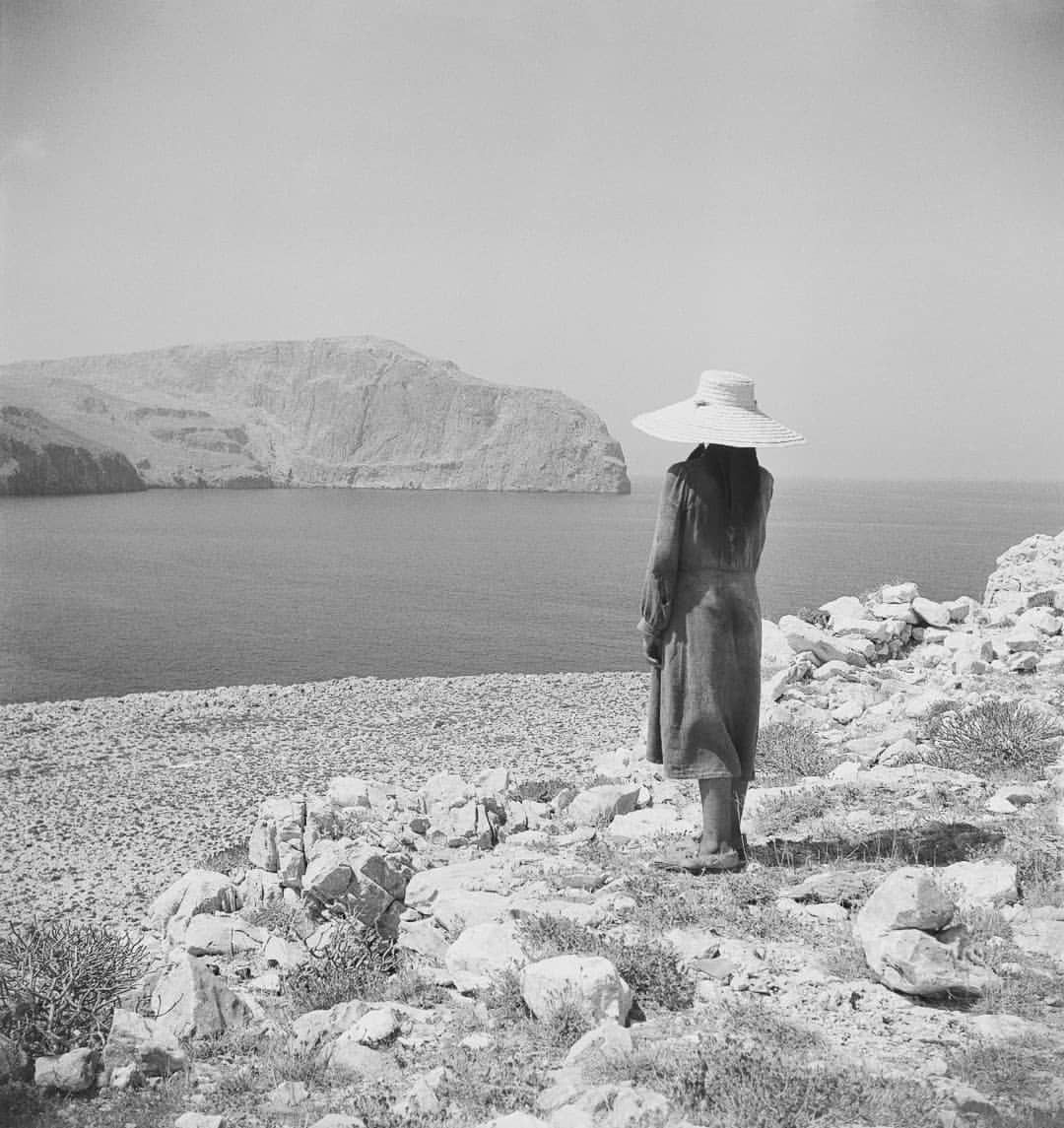 literland tweet media