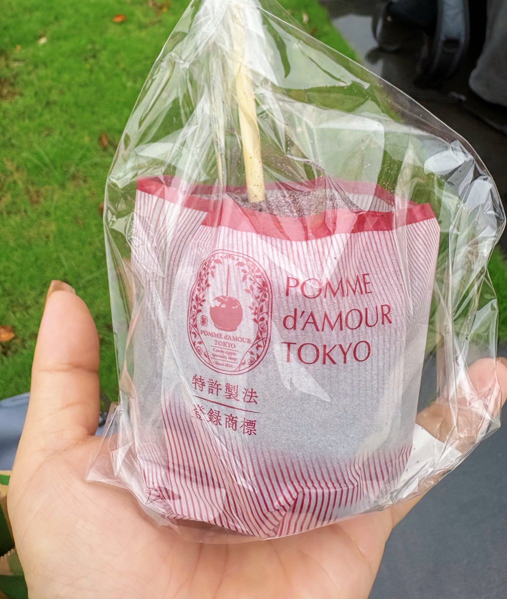 小隻山雀 tweet media