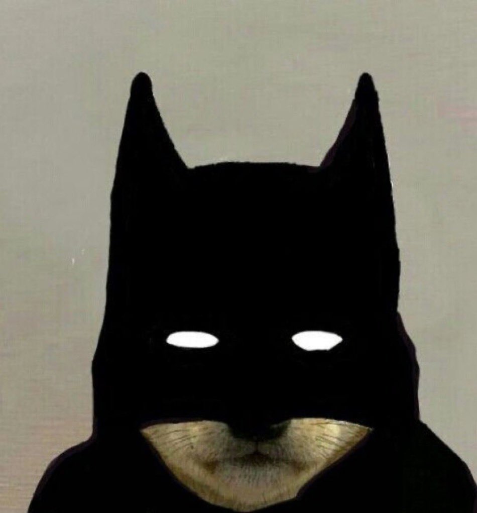 Pickles (^ᴥ^)∫ tweet media