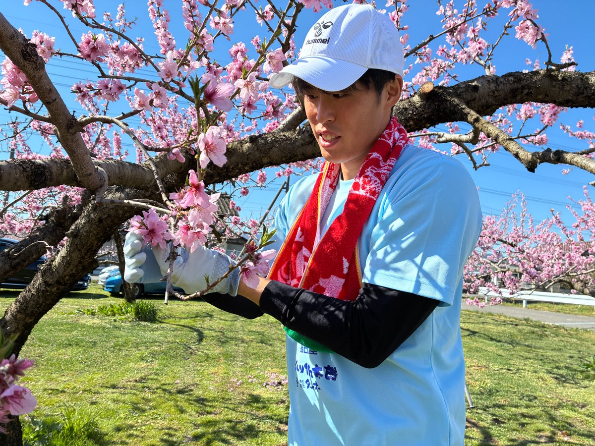 福島ユナイテッドFC tweet media