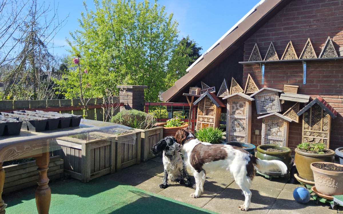 Der reine Tor tweet media