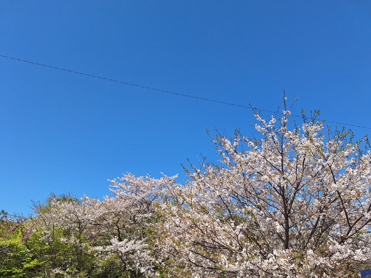 げんにぃ tweet media