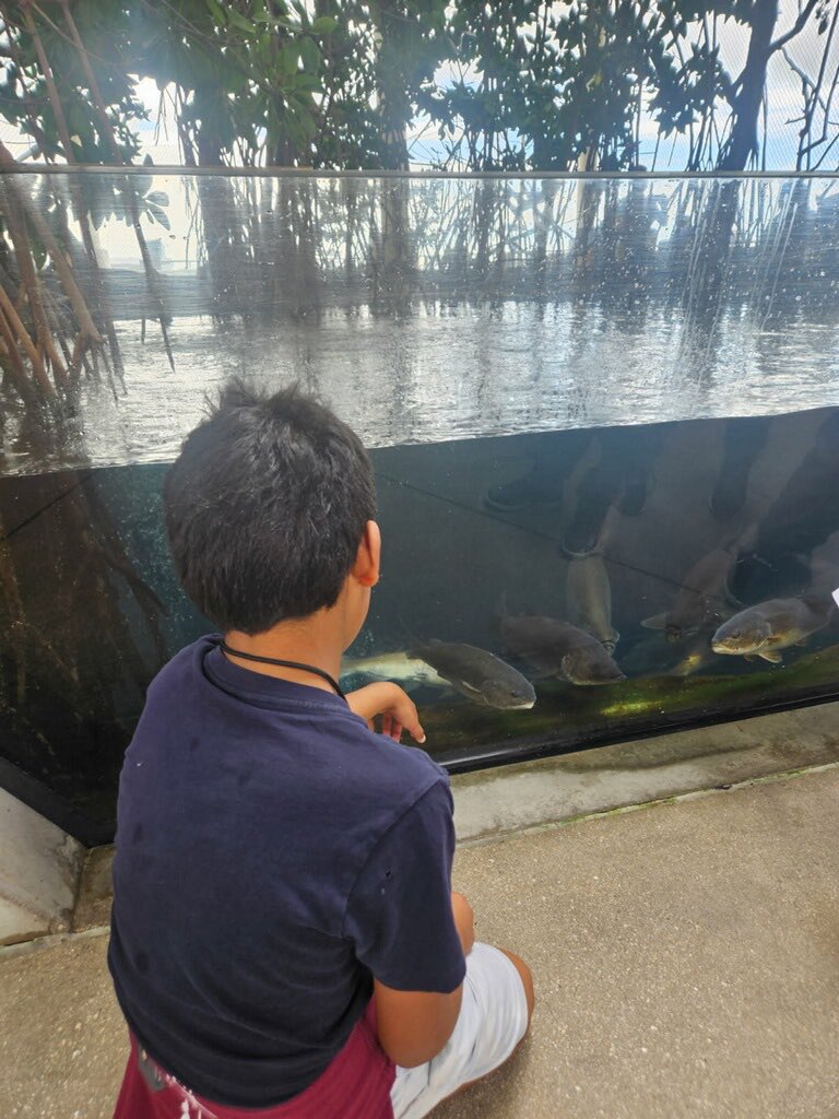 North Fork Elementary School tweet media