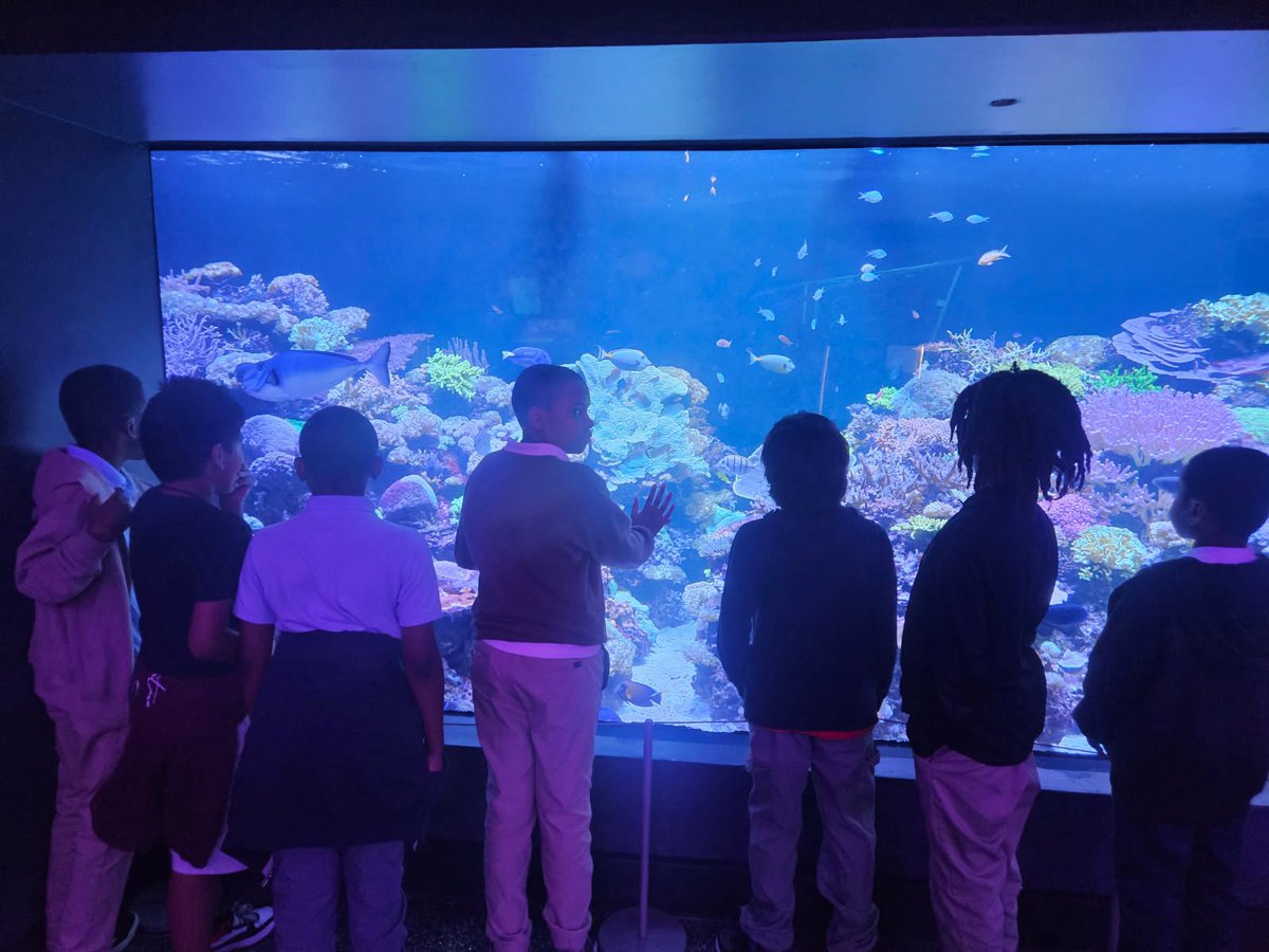 North Fork Elementary School tweet media