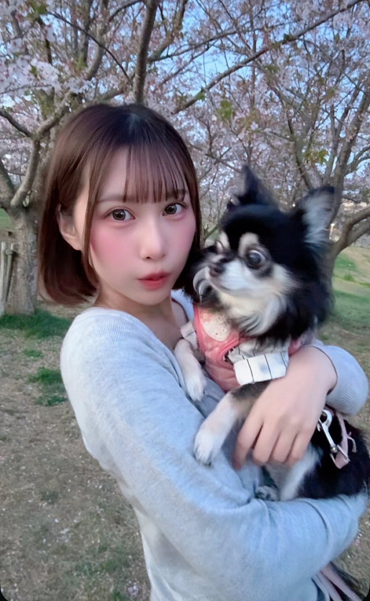 すごいブレてるハピたん🐶💖