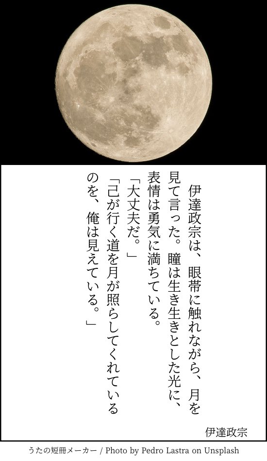 キチー tweet media