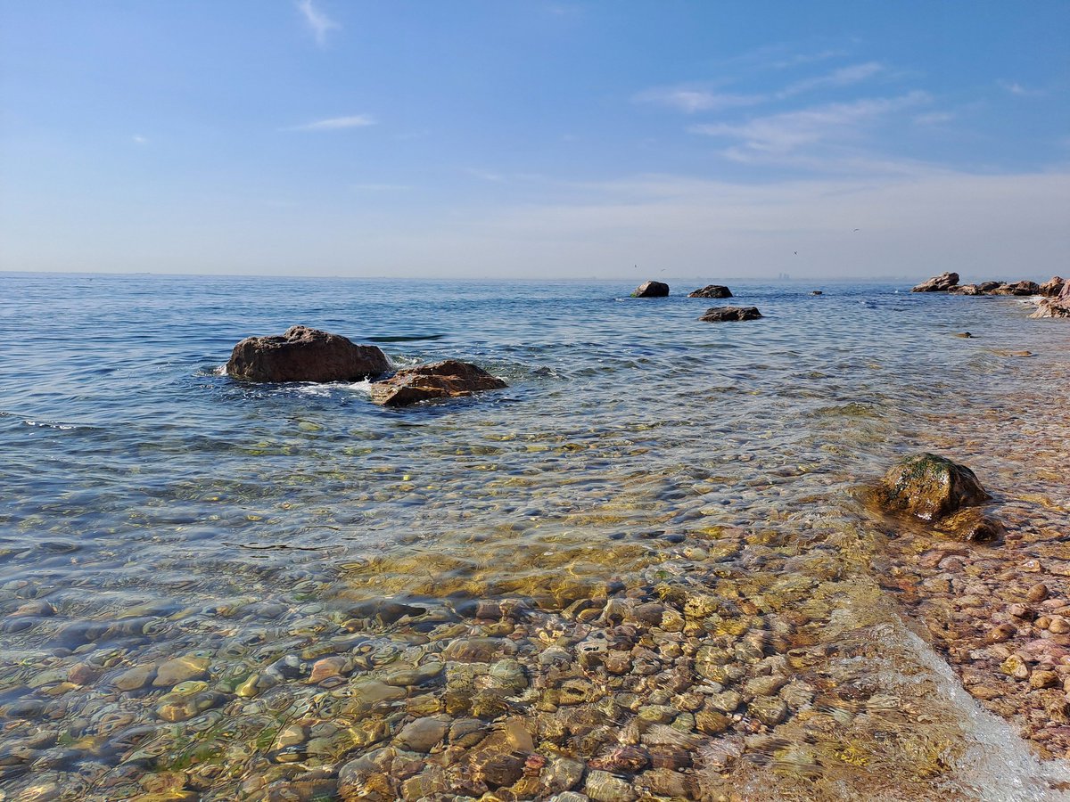 Berk Erkent tweet media