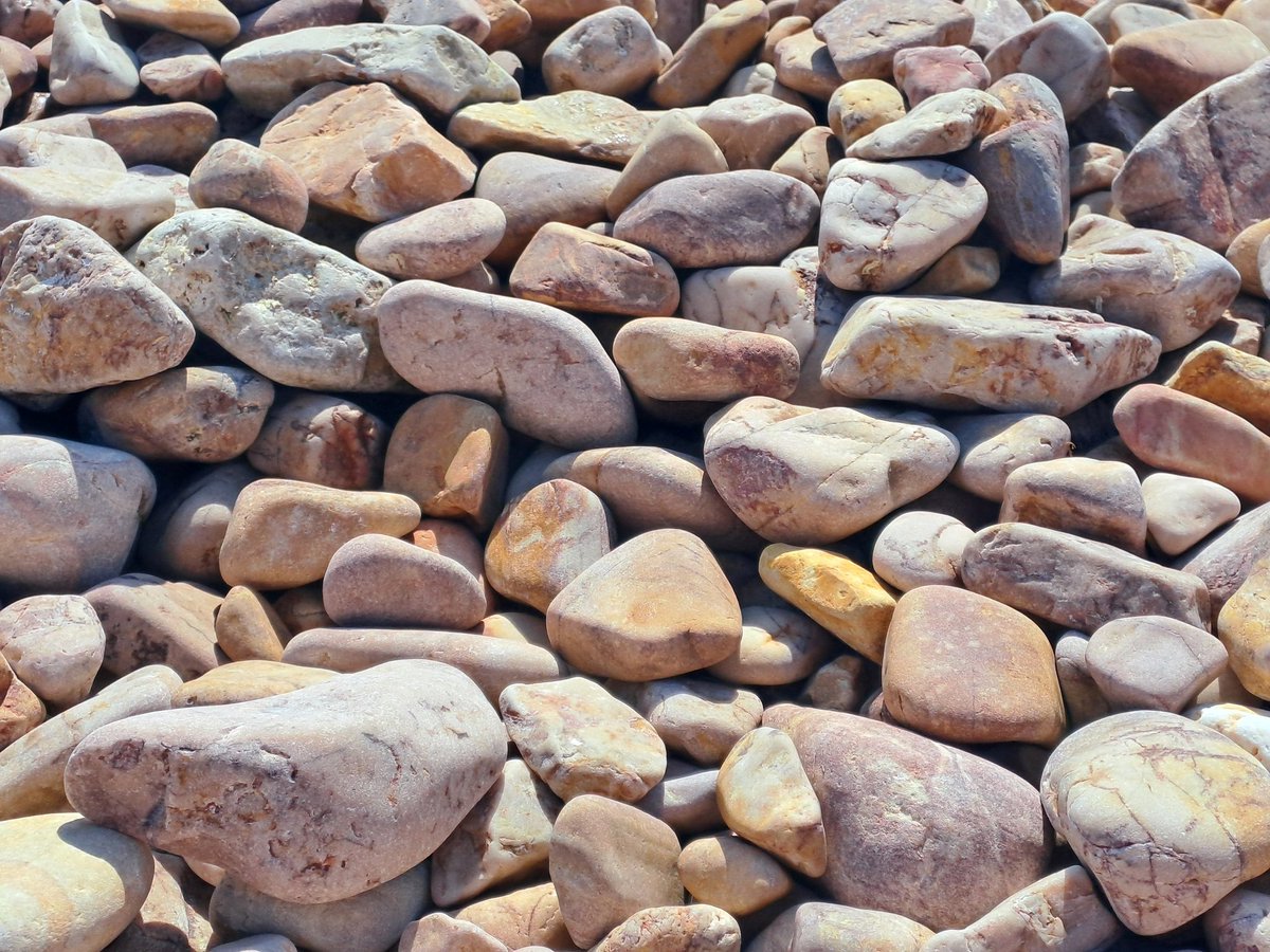 Berk Erkent tweet media