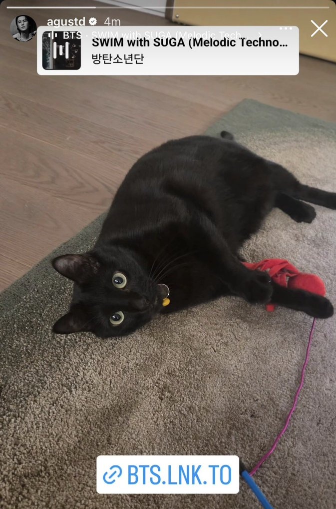 did yoongi come home today? tweet media