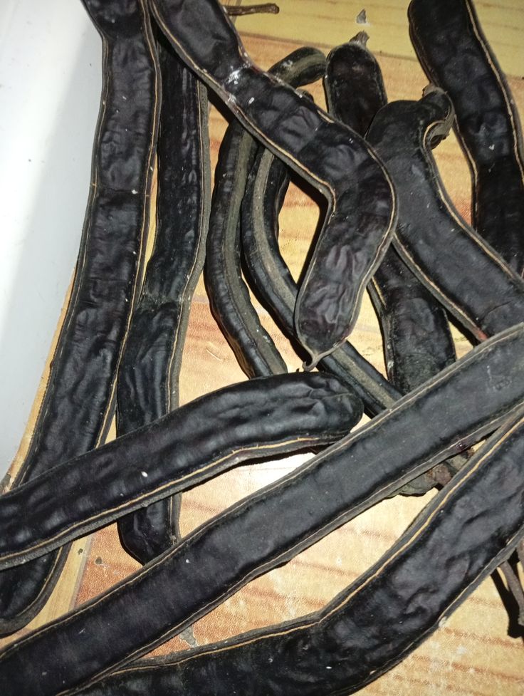 Zoya 🫧 tweet media