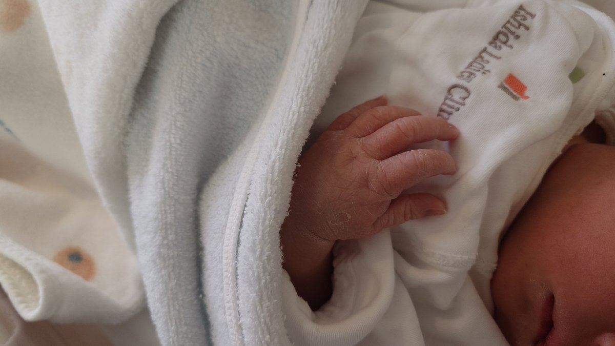 ヤキたま＠苺農家🍓 tweet media