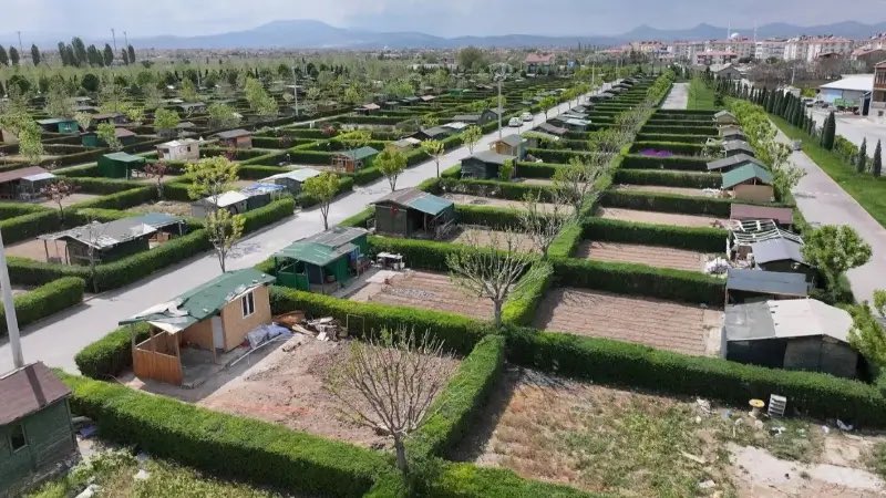 Gazete Pano tweet media