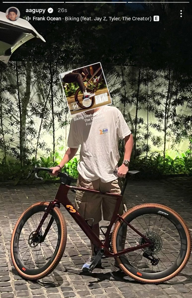 sha ˚࿔ tweet media