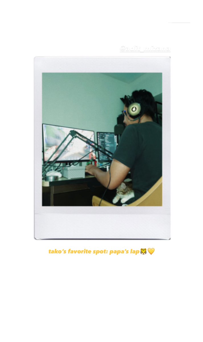 ( ´･ᴗ･` )♡ tweet media