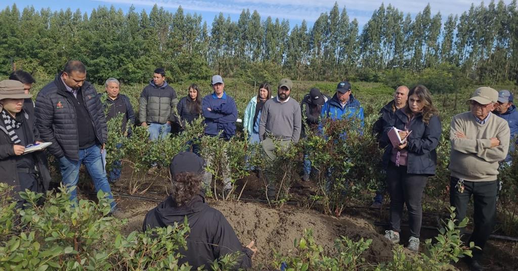 CBC reports progress on regenerative agriculture pilot ow.ly/o7Ji106wWf6