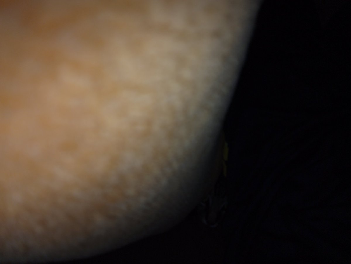 オルフェンス tweet media