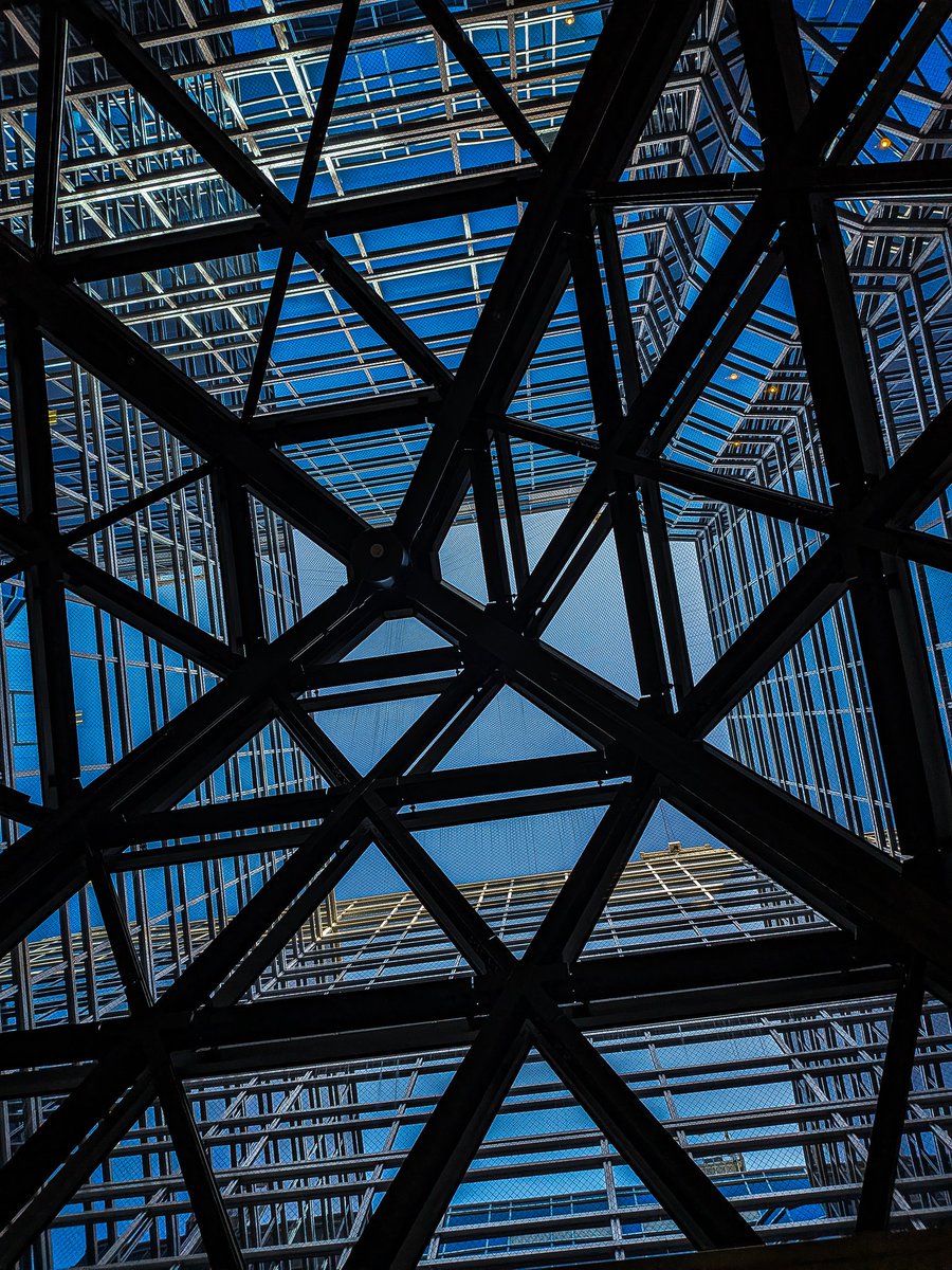 あかいねこ tweet media