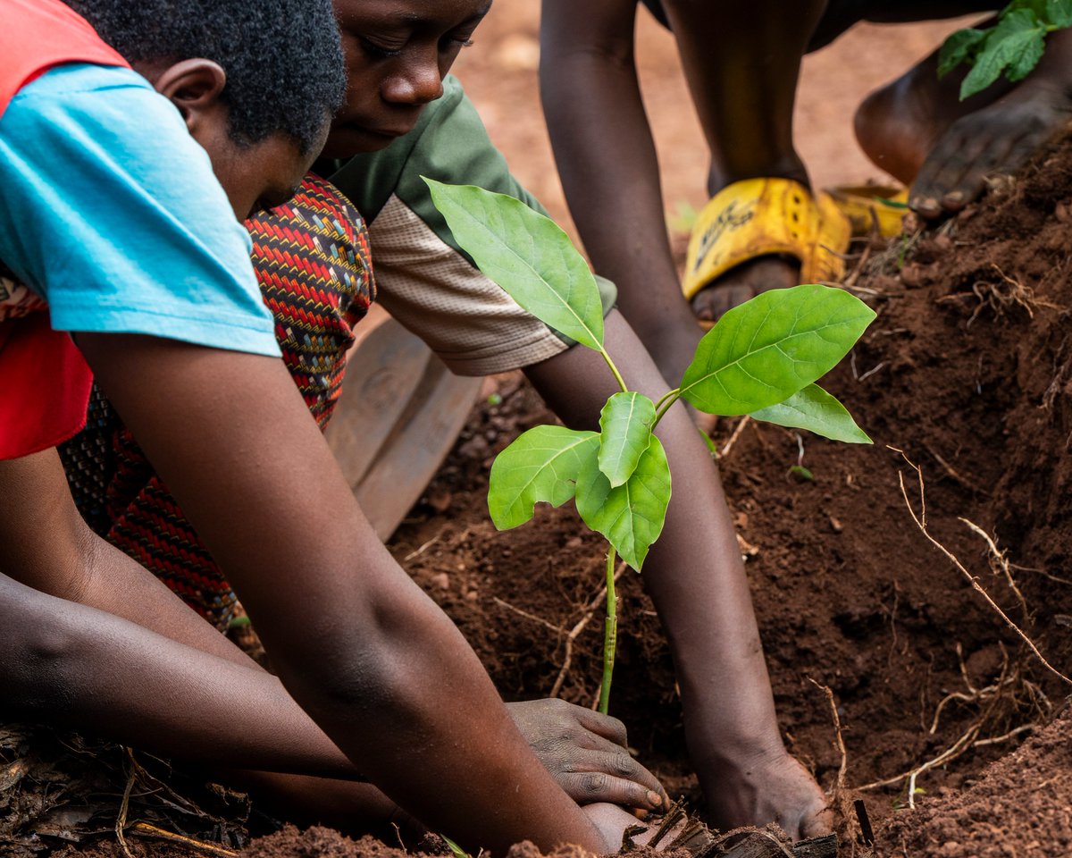 TheProtectorRw's tweet photo. Climate change affects everything: our health, food, water, and future.
Act today, conserve water, reduce waste, and protect our planet.🌱 https://t.co/T7DBrLpBiO