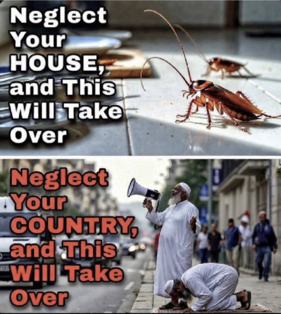 They basically are the same…..

Or even worse!! Agreed??