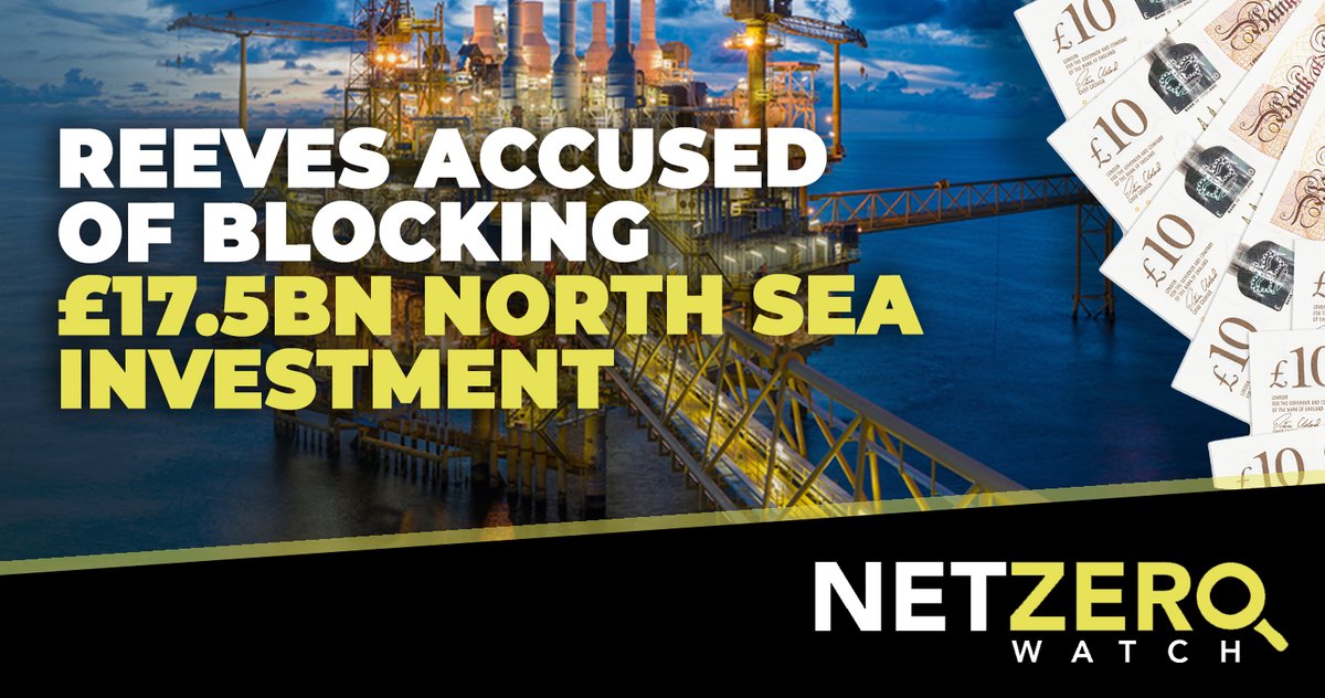 Net Zero Watch tweet media