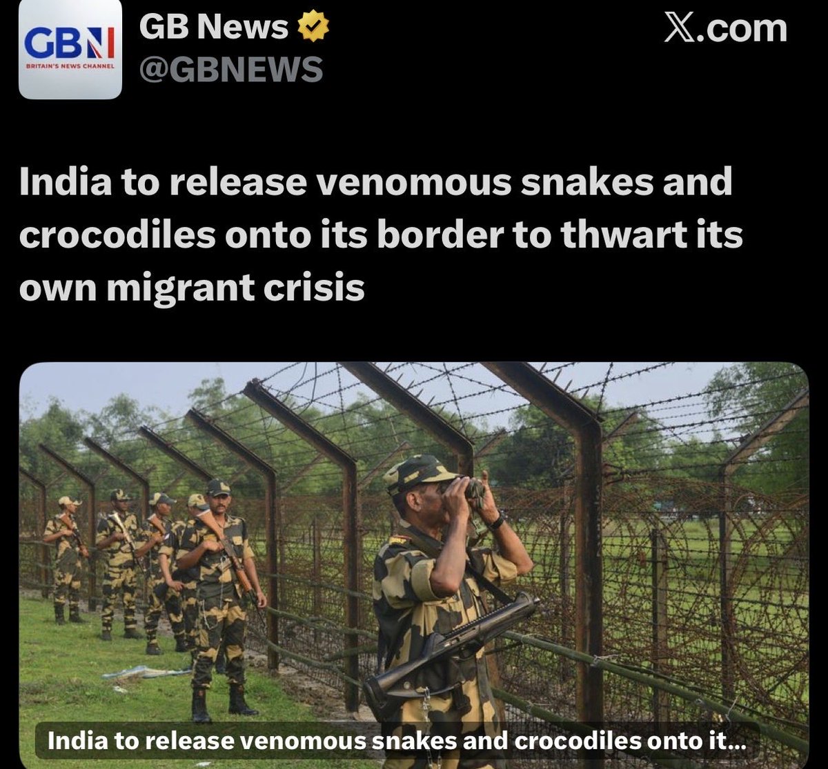 Lozzy B 🇦🇺𝕏 tweet media