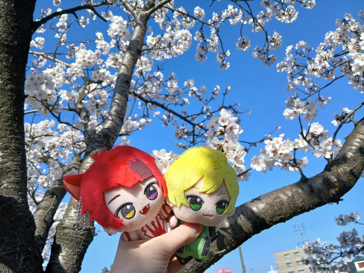 みおちゃむᜊ•ᴗ•ᜊ tweet media