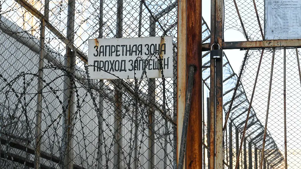 Olga von M. tweet media