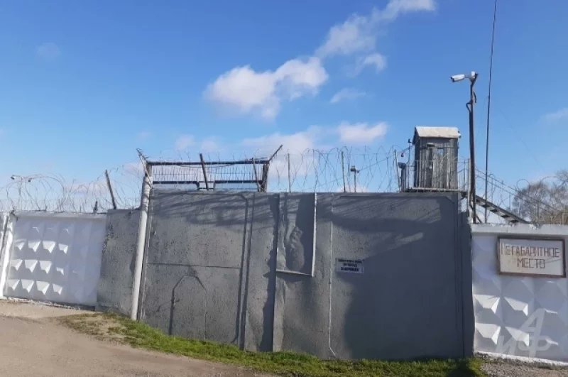 Olga von M. tweet media