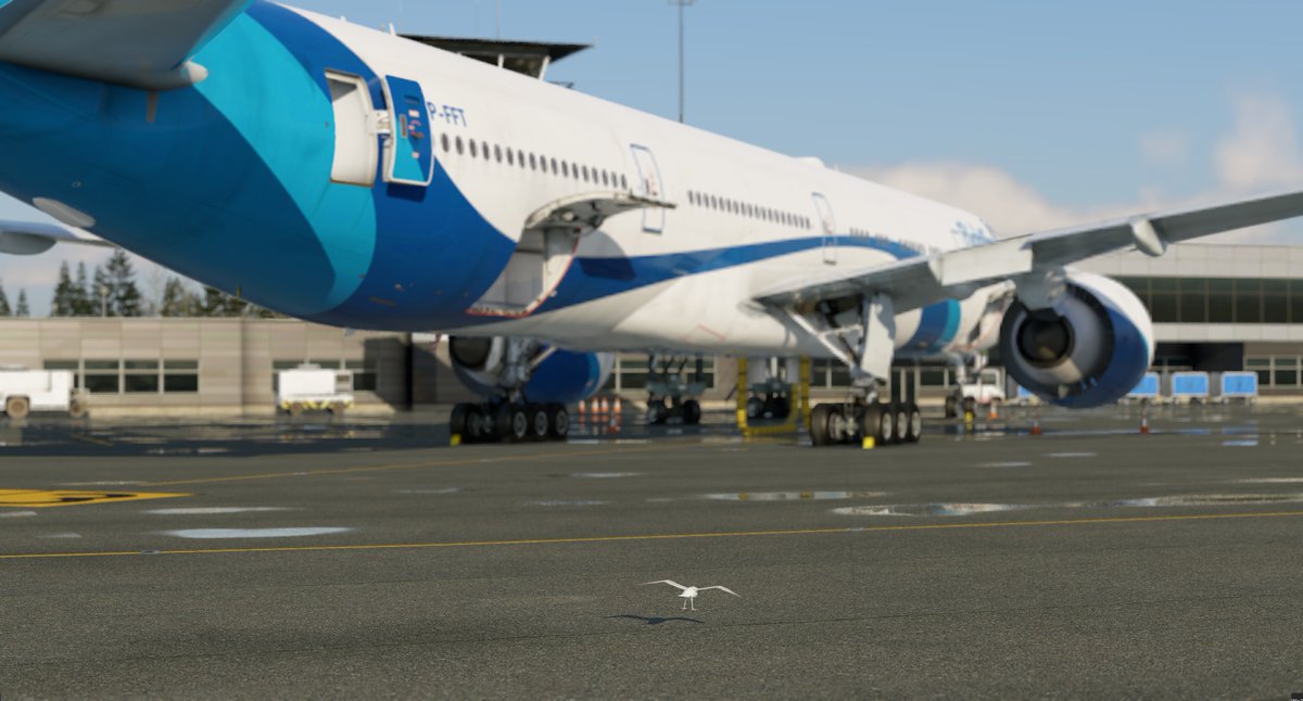 FlightFactor tweet media