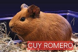 Salomé S. tweet media