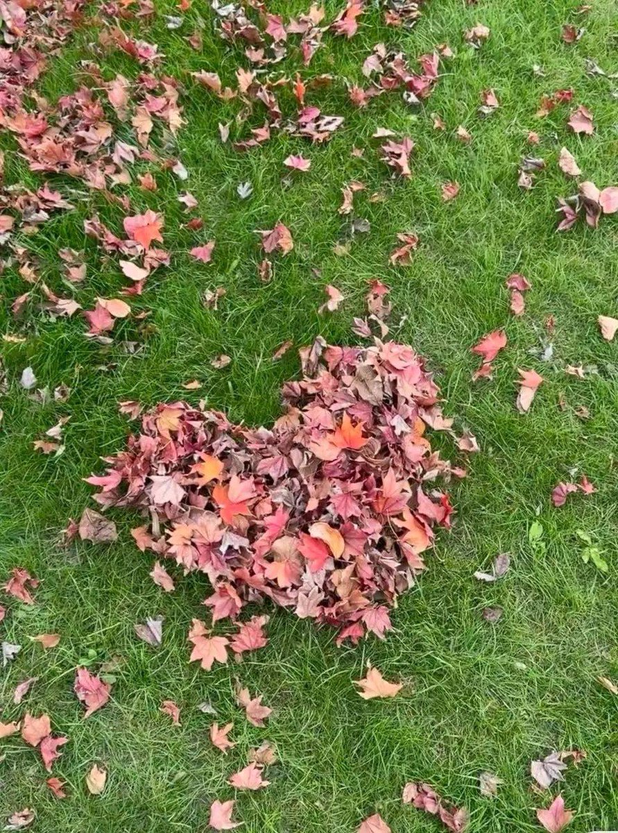 kathleen giametta tweet media