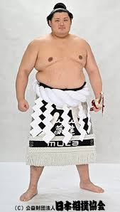 ヒグマ tweet media