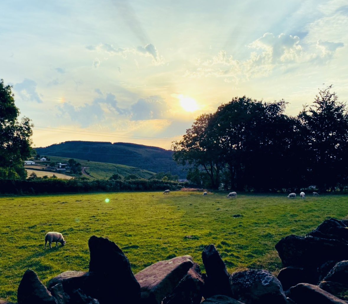 Meningioma Host tweet media