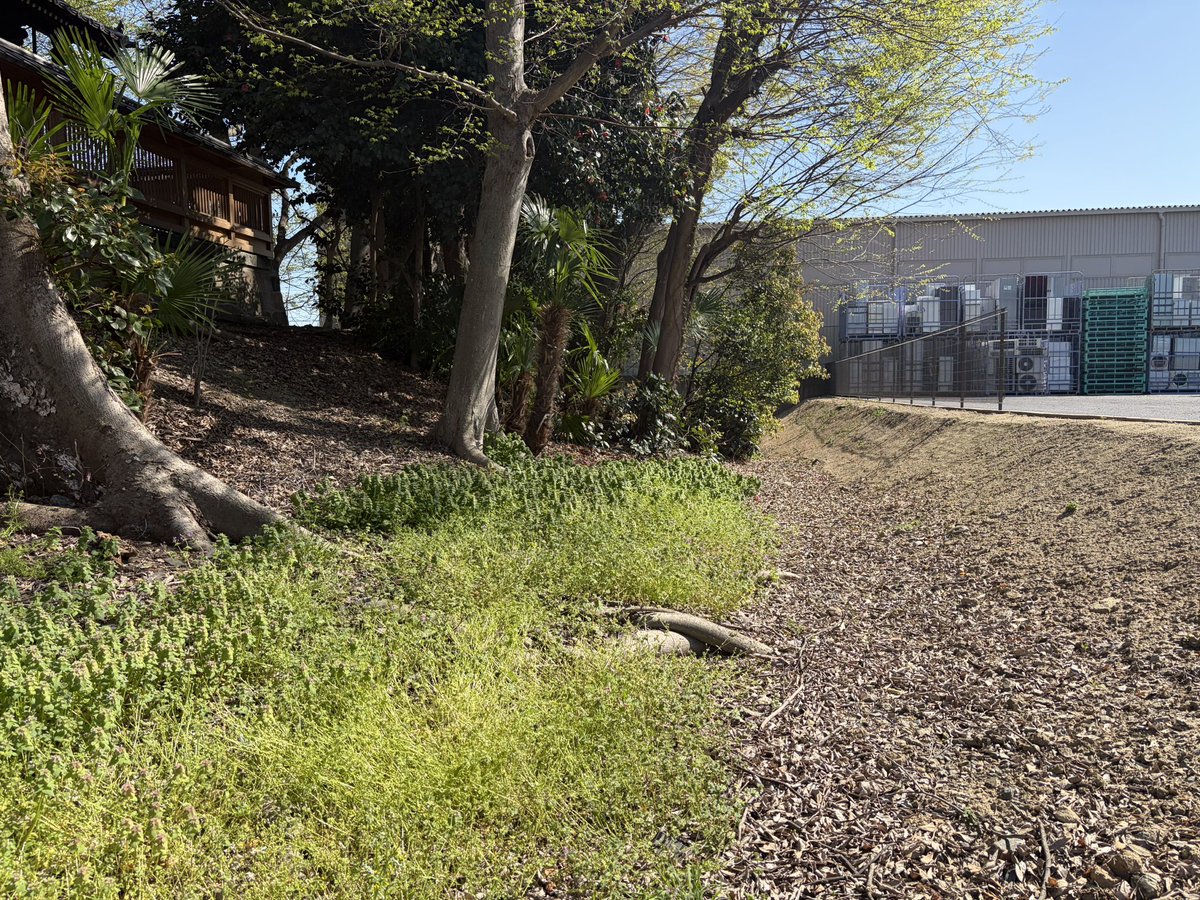 あおえみ tweet media