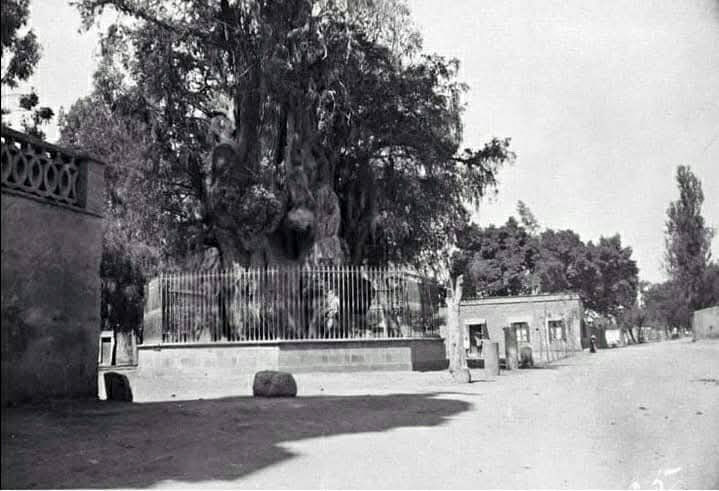 Julio Arellano tweet media