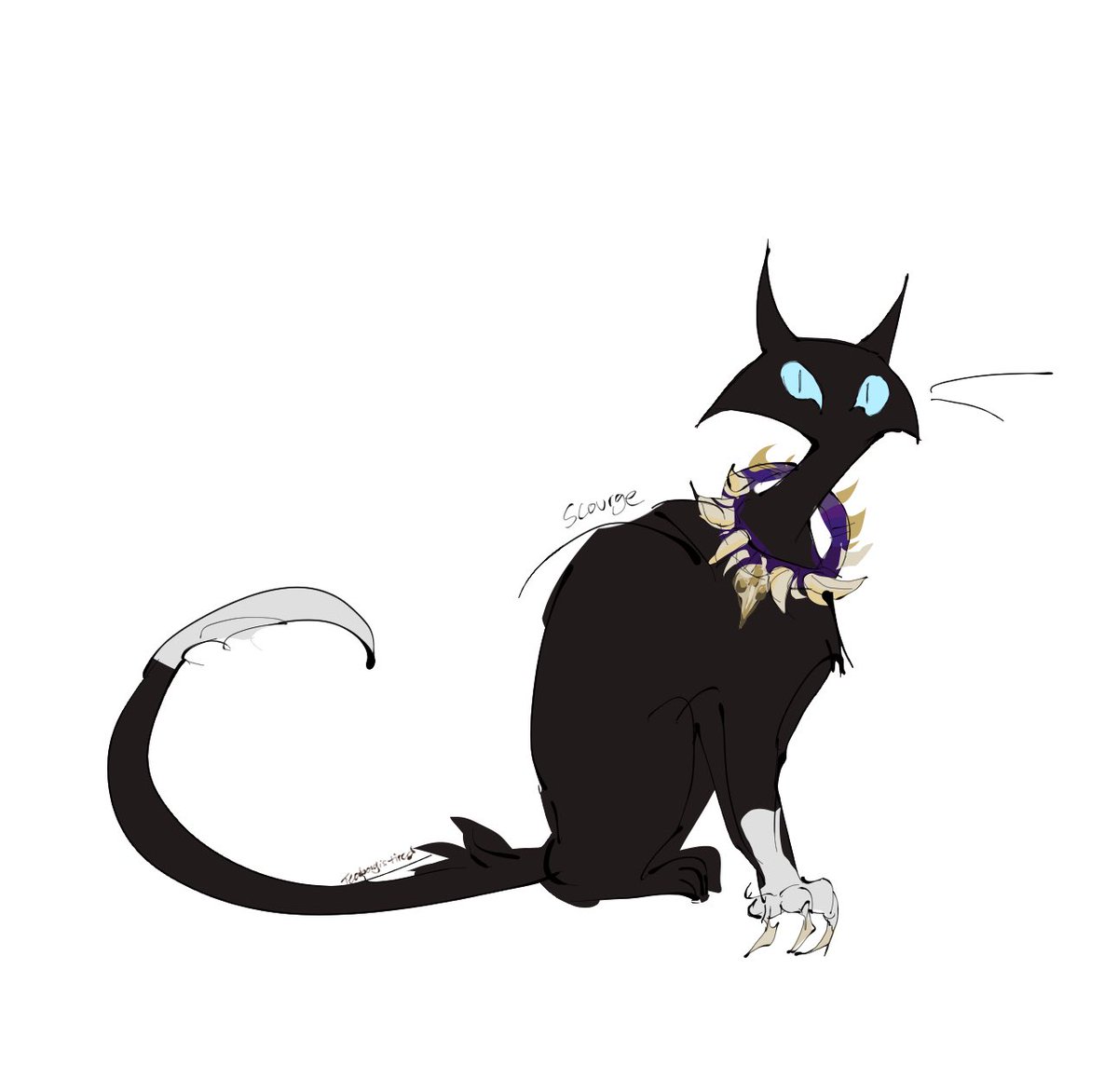 Xin ☕️ tweet media