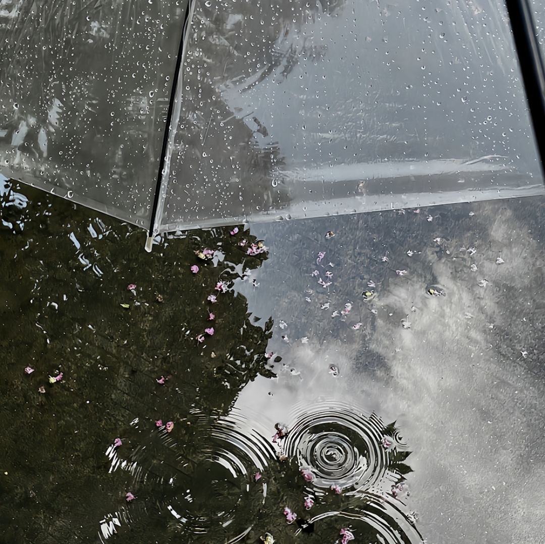 SUNEEL KUMAR tweet media