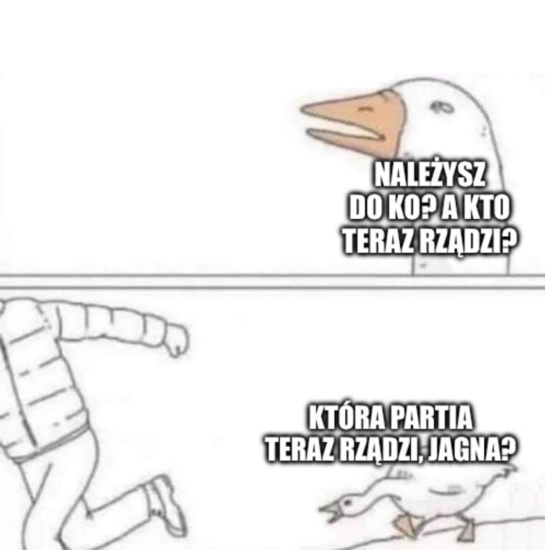 Razem Małopolska tweet media