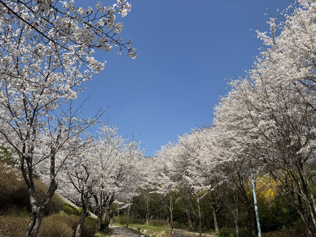 memento mori tweet media