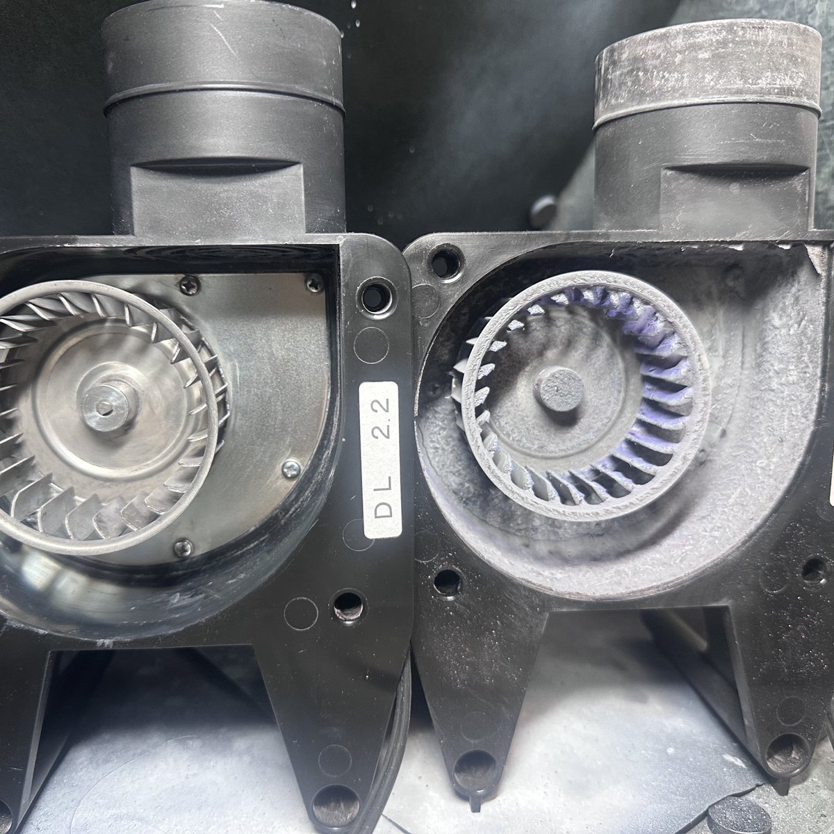 TunaBowlWorkshop tweet media