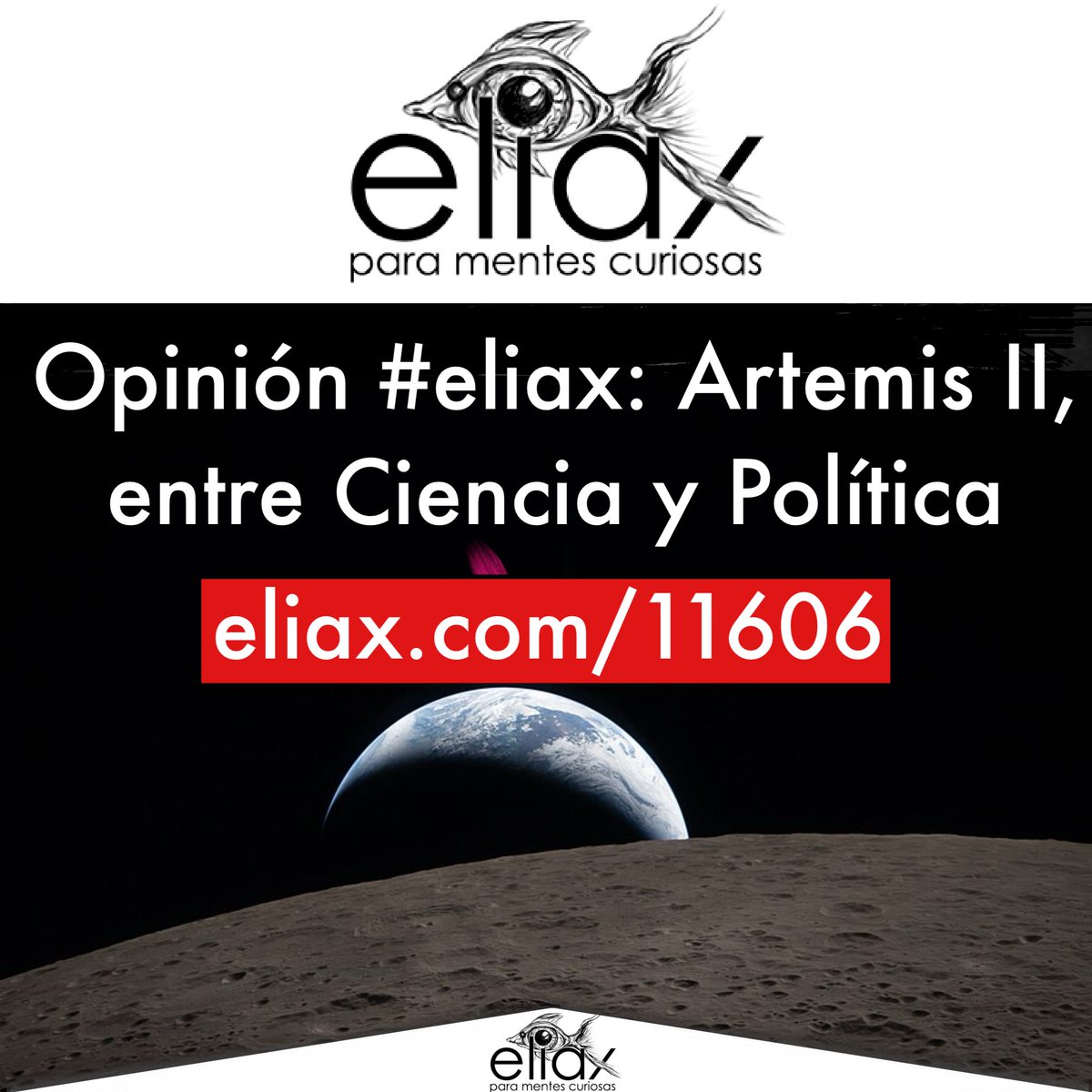 José Elías tweet media