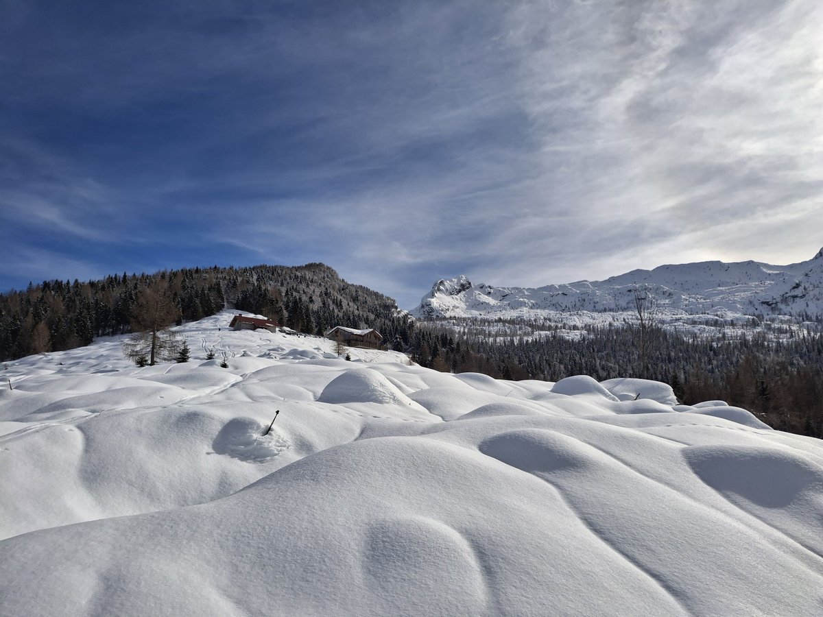 Dolomiti Friulane tweet media