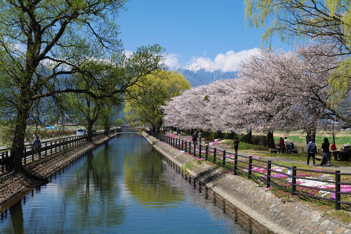 とくむ tweet media