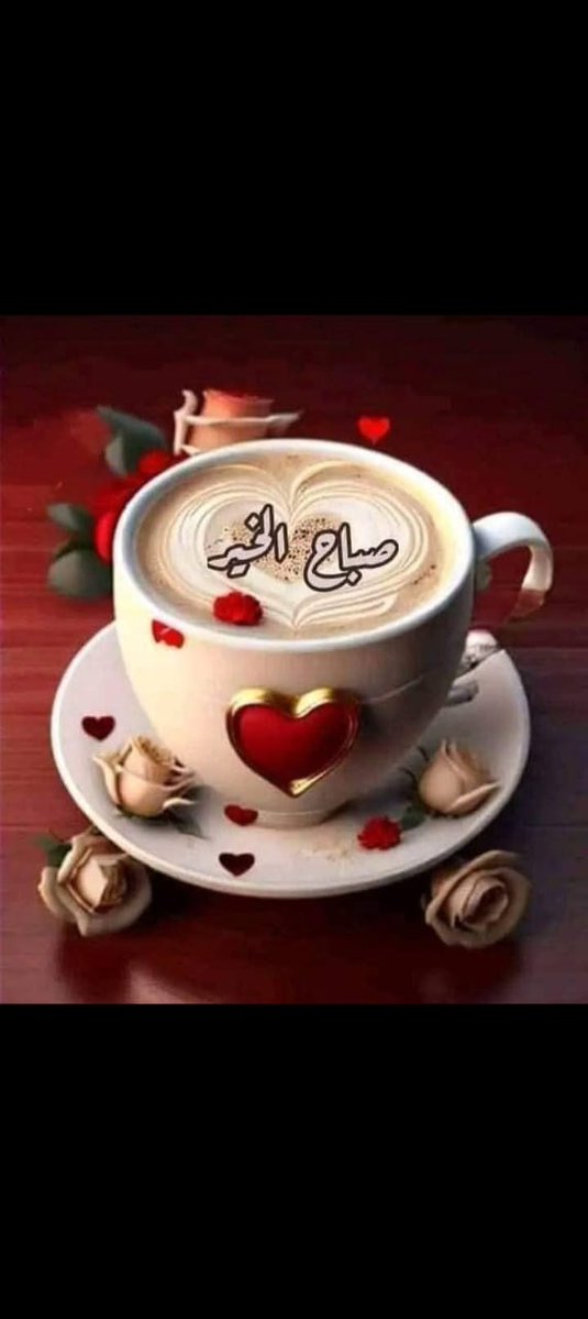 Elie salem tweet media