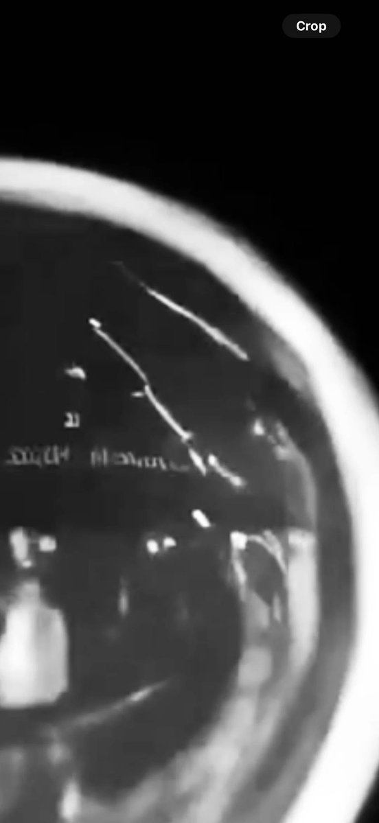 UFO mania tweet media