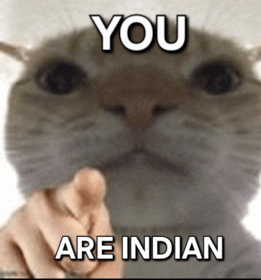 岛主, Lord of the Island🏳️‍🌈🏳️‍⚧️🌈♀️♂️⚧️ tweet media