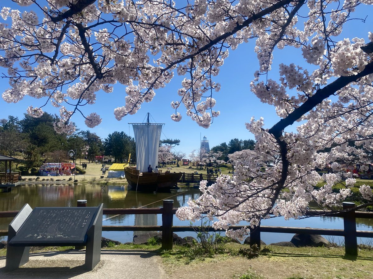 minatokaito523's tweet photo. 桜を見に日和山公園に行って来ました。頭の中がミナトのことでめいっぱいだったので息抜き出来ました。ミナトに会えるように気持ちを新たに頑張りますので引き続き拡散にご協力お願いします🙇‍♀️ #山形県　#酒田市　#迷子猫 https://t.co/9FSaaYa6b4