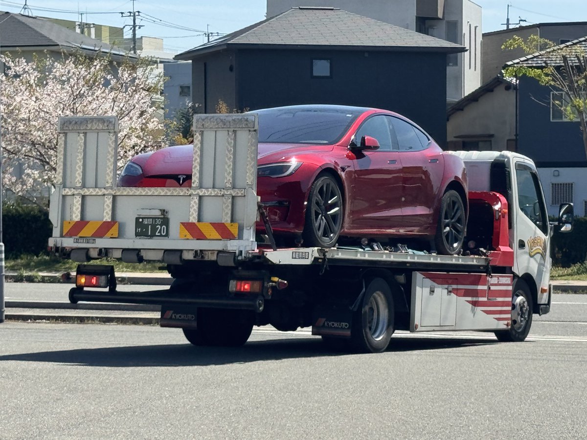 プルテウス tweet media