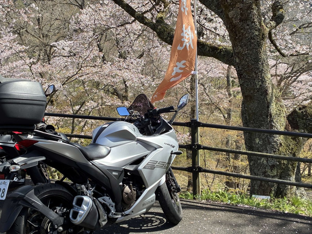 みるふぉん tweet media