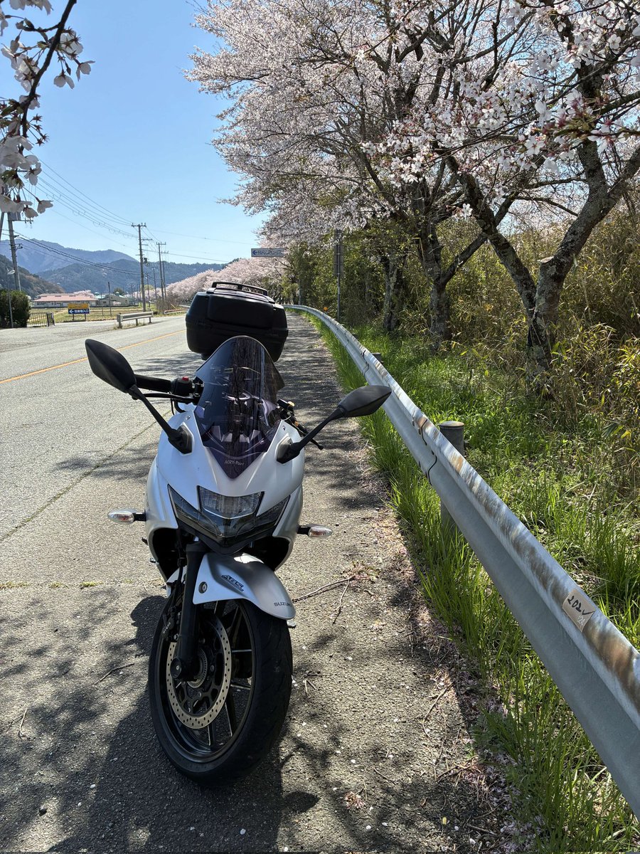 みるふぉん tweet media